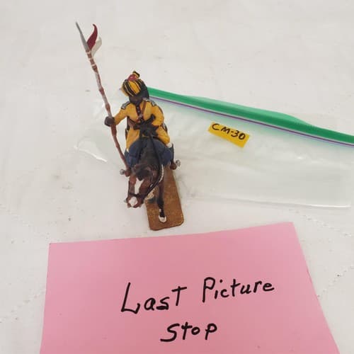 Metal Hand Painted 54mm SOE002 Skinner's Horse Lancer CM-30 - Thumbnail 8