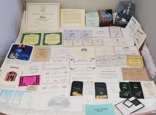 Large Lot of Disney Peanuts Certificate of Authenticity COA Paperwork - Image 1