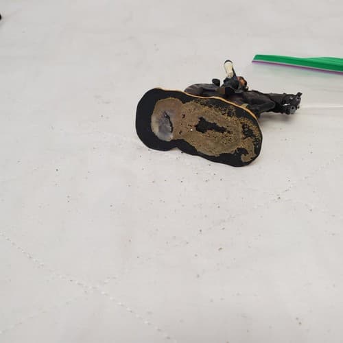 Britains Civil War Union William 31276 Federal Infantry Officer Mounted CM-41 - Thumbnail 6