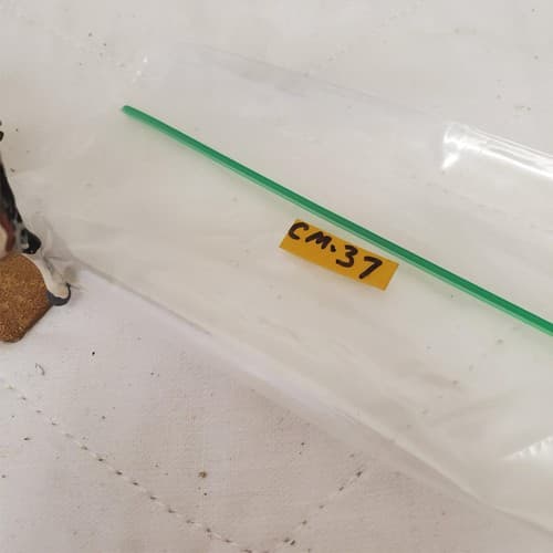 Metal Hand Painted 54mm SOE002 Skinner's Horse Scout CM-37 - Thumbnail 3