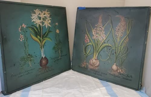 Two Palma Christi Ornithogalum Pannonicum Painting Home Decor - Image 1