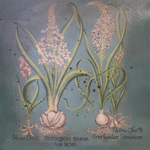 Two Palma Christi Ornithogalum Pannonicum Painting Home Decor - Thumbnail 5