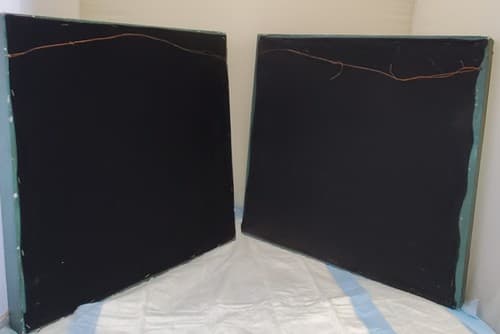 Two Palma Christi Ornithogalum Pannonicum Painting Home Decor - Thumbnail 6