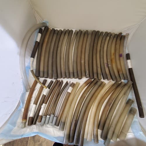 Large Lot of Plastic Vacuum Tubes - Image 1