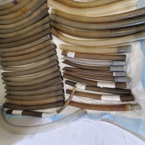 Large Lot of Plastic Vacuum Tubes - Thumbnail 5