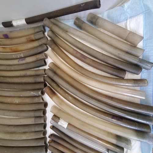 Large Lot of Plastic Vacuum Tubes - Thumbnail 4