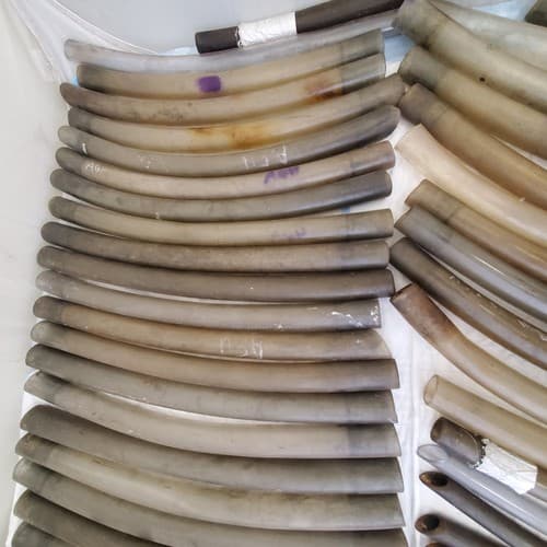 Large Lot of Plastic Vacuum Tubes - Thumbnail 3