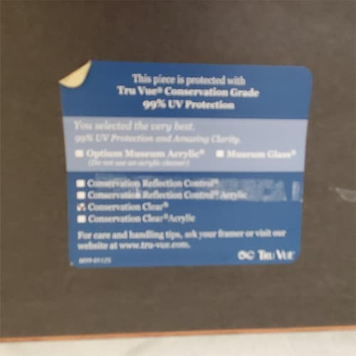 Girl View of Nice Beaches Sea Ocean Flowers France French Travel Tourism - Thumbnail 6