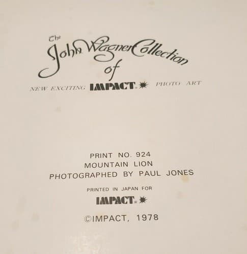 John Wagner Collection IMPACT Photo Print 1978 Waterfall and Mountain Lion - Thumbnail 3