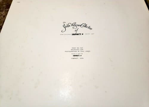 John Wagner Collection IMPACT Photo Print 1978 Waterfall and Mountain Lion - Thumbnail 4