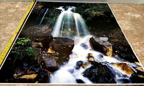John Wagner Collection IMPACT Photo Print 1978 Waterfall and Mountain Lion - Thumbnail 8