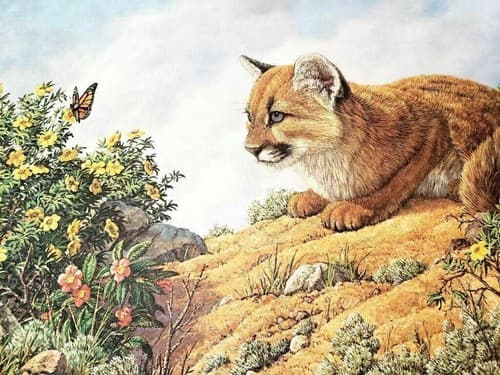 Vintage Cat Art Print with Butterfly and Flowers by James Efarish - Image 1