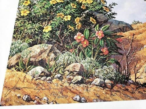 Vintage Cat Art Print with Butterfly and Flowers by James Efarish - Thumbnail 2