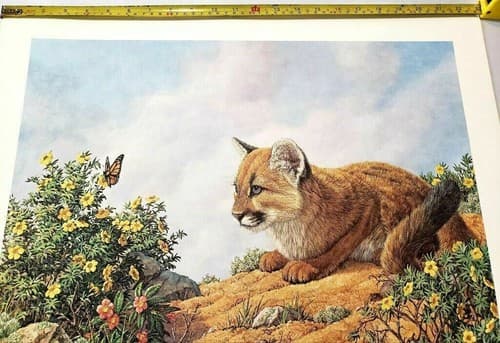 Vintage Cat Art Print with Butterfly and Flowers by James Efarish - Thumbnail 6