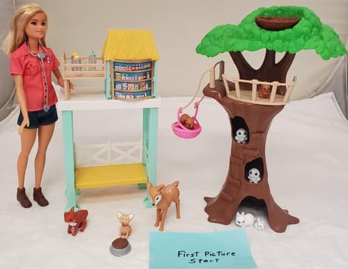 Barbie Animal Rescuer Center with Animals & Accessories Doll Playset - Image 1