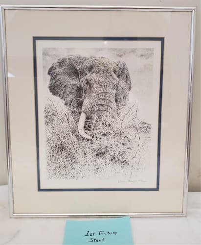 William Baker Elephant Head Print Signed & Framed Limited Edition Nature Artwork - Image 1