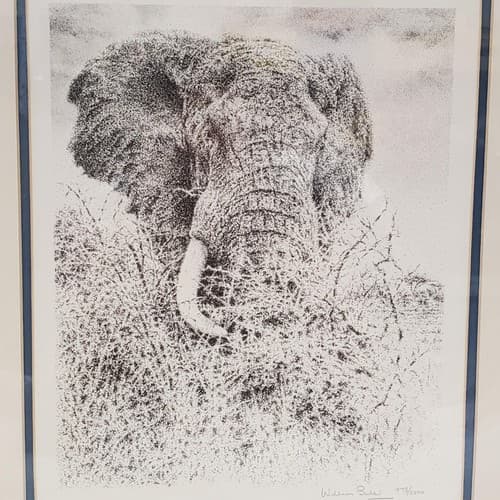 William Baker Elephant Head Print Signed & Framed Limited Edition Nature Artwork - Thumbnail 4