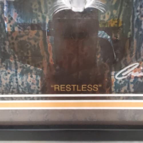 Craig Tracy 'Restless' Signed Framed Art Print old Tiger Design 11 x 14 - Thumbnail 5