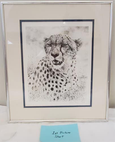 William Baker Cheetah Wildlife Framed Art Print 8 x10 Matted Pencil 973/2500 - Image 1