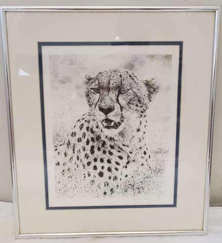 William Baker Cheetah Wildlife Framed Art Print 8 x10 Matted Pencil 973/2500 - Thumbnail 2