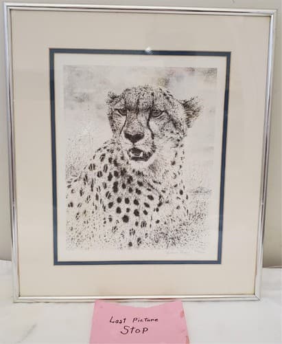 William Baker Cheetah Wildlife Framed Art Print 8 x10 Matted Pencil 973/2500 - Thumbnail 5