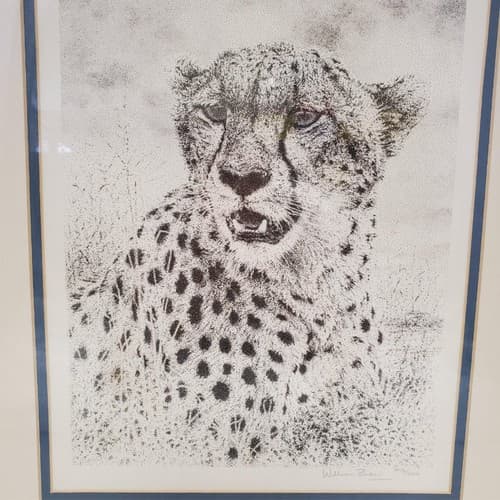 William Baker Cheetah Wildlife Framed Art Print 8 x10 Matted Pencil 973/2500 - Thumbnail 4
