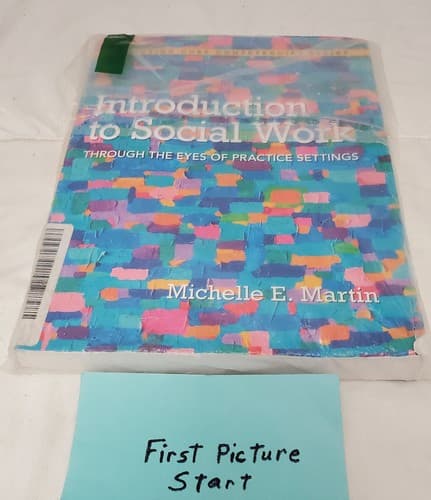 Introduction to Social Work:Through the Eyes of Practice Settings by Michelle