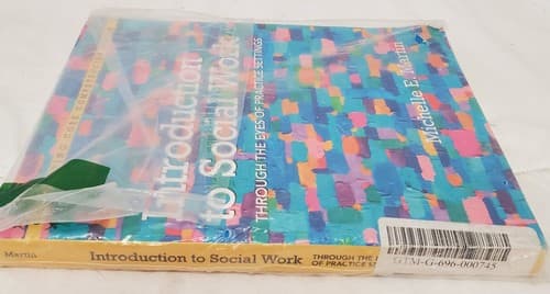 Introduction to Social Work:Through the Eyes of Practice Settings by Michelle - Thumbnail 3