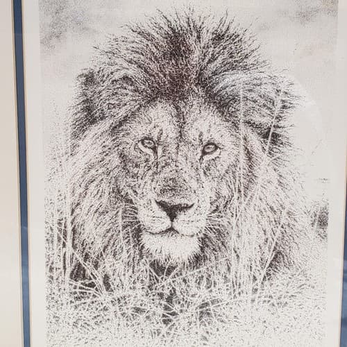 William Baker Wildlife Prints Signed & Numbered Limited Edition - Thumbnail 4