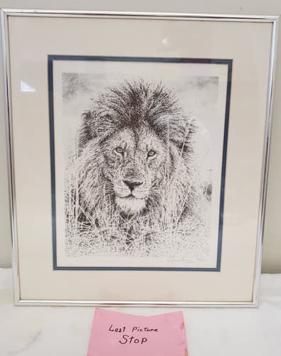 William Baker Wildlife Prints Signed & Numbered Limited Edition - Thumbnail 5