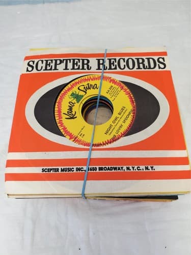 Rca Victor Gold Standard Series Steal Away Phillips United Artists Vinyl Records - Thumbnail 12