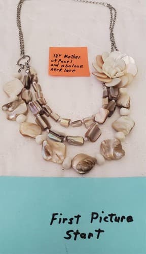 NY Company 18" Abalone Mother of Pearl Necklace - Image 1