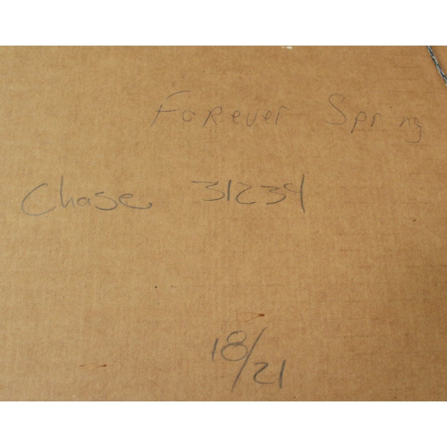 Signed Limited Edition Artwork "Forever Spring" by Polly Chase - Thumbnail 7