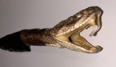 Western Diamondback Rattlesnake Handle / 4 inch Obsidian Rock Blade Knife - Image 1