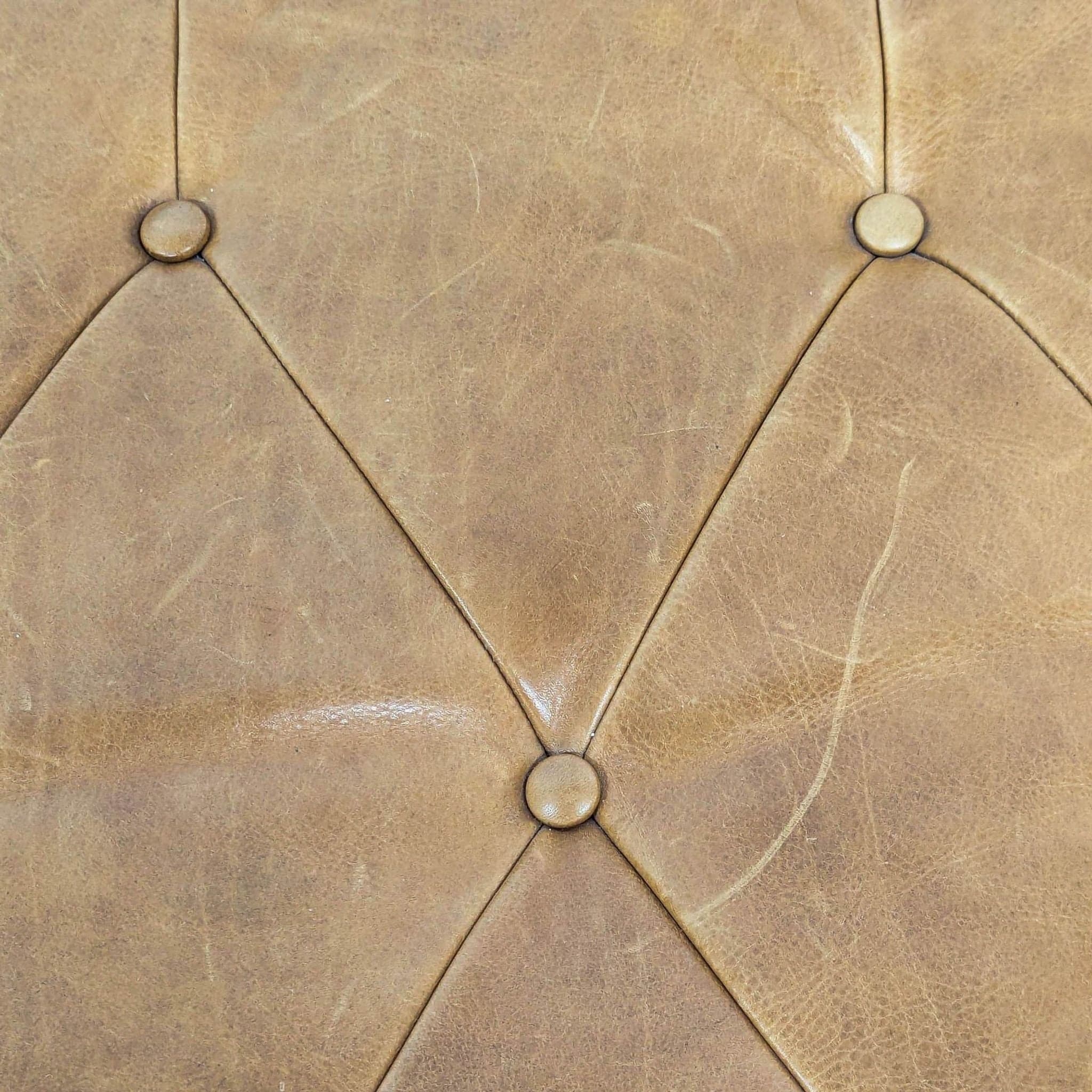 Wood and Leather Button-Tufted Bench - Thumbnail 7