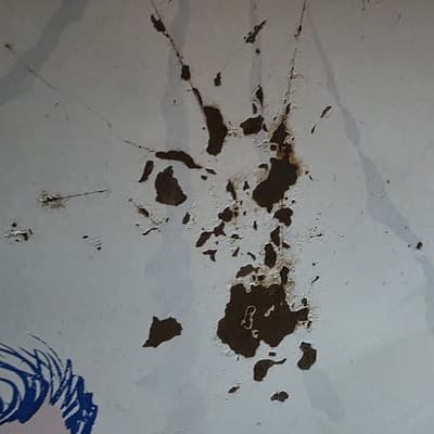 Vintage Blazon Sno-Flyer Steel Snow Sled Disc Litho Child Dog 1940s-1950s USA - Thumbnail 7