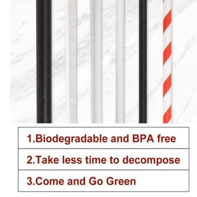 Red & White Paper Drinking Straws 5000Pcs(250 Per Pack) 7.75 inch Disposable - Thumbnail 9