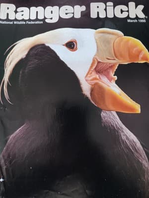 Ranger Rick Magazine(s) National Wildlife Federation - Thumbnail 4