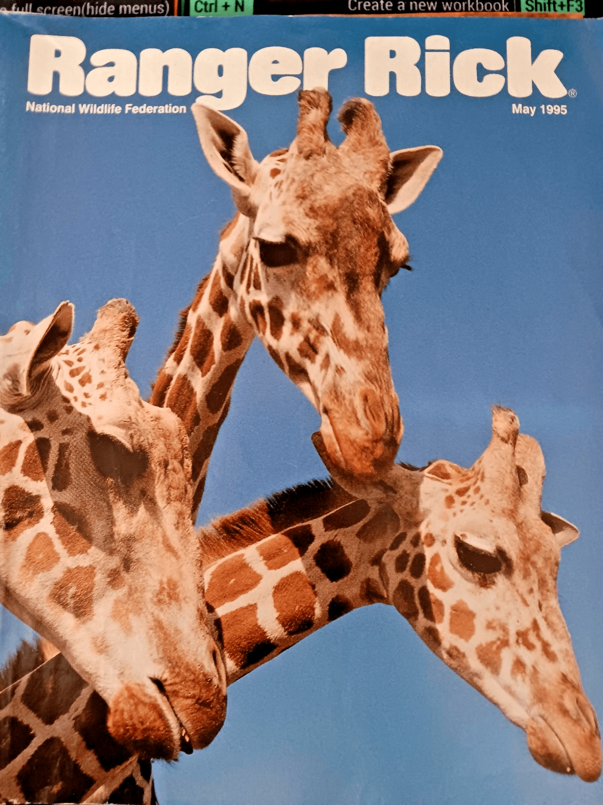 Ranger Rick Magazine(s) National Wildlife Federation - Thumbnail 2