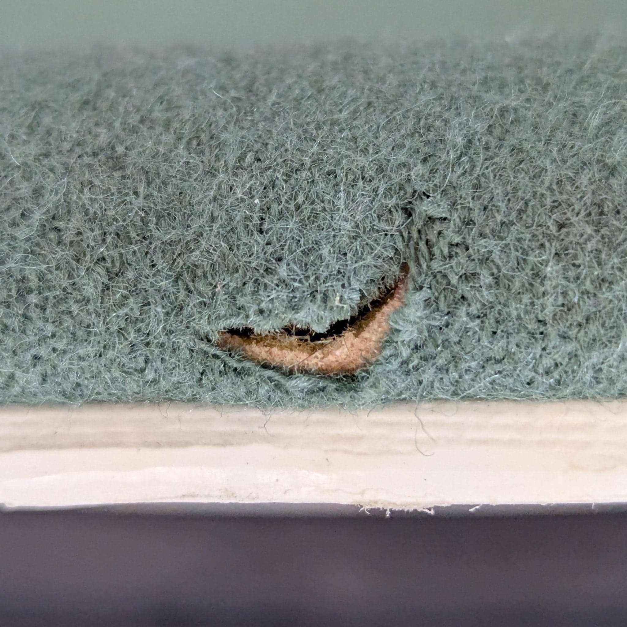 Andreu World Modern Green Office Chair with Wheels - Thumbnail 9