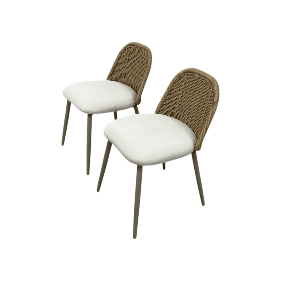 TOV Alexa Rattan Performance Fabric Dining Chair Set of 2 - Thumbnail 5