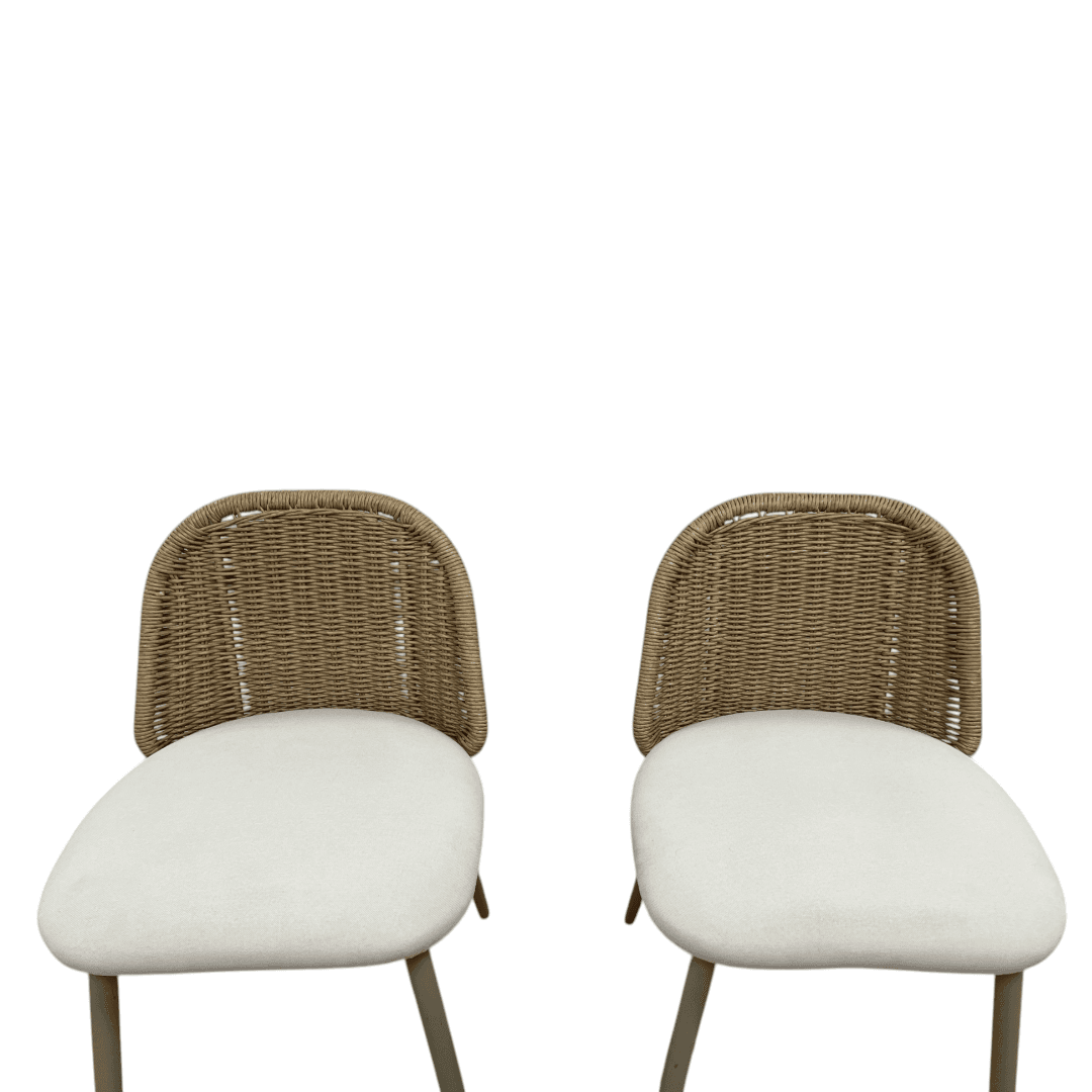 TOV Alexa Rattan Performance Fabric Dining Chair Set of 2 - Thumbnail 9