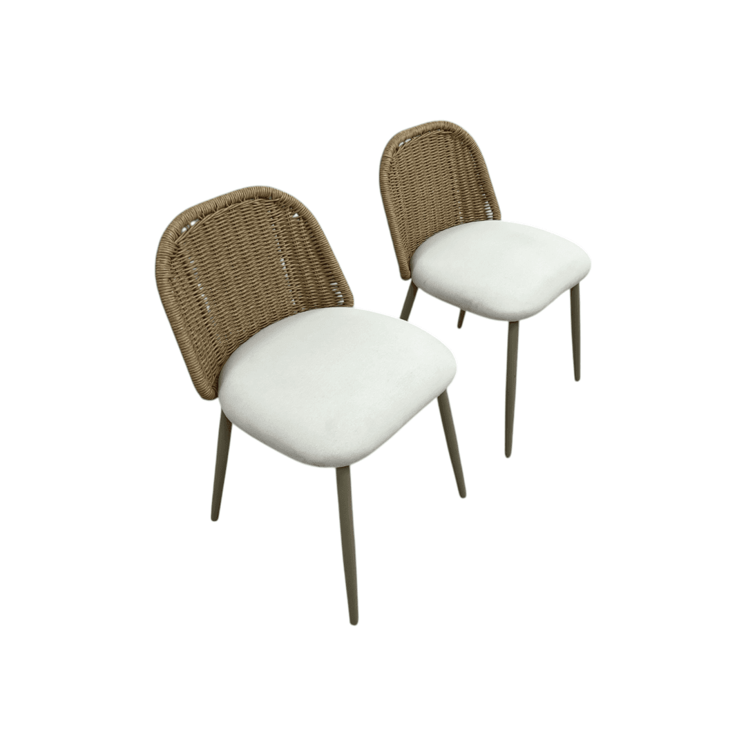 TOV Alexa Rattan Performance Fabric Dining Chair Set of 2 - Thumbnail 4