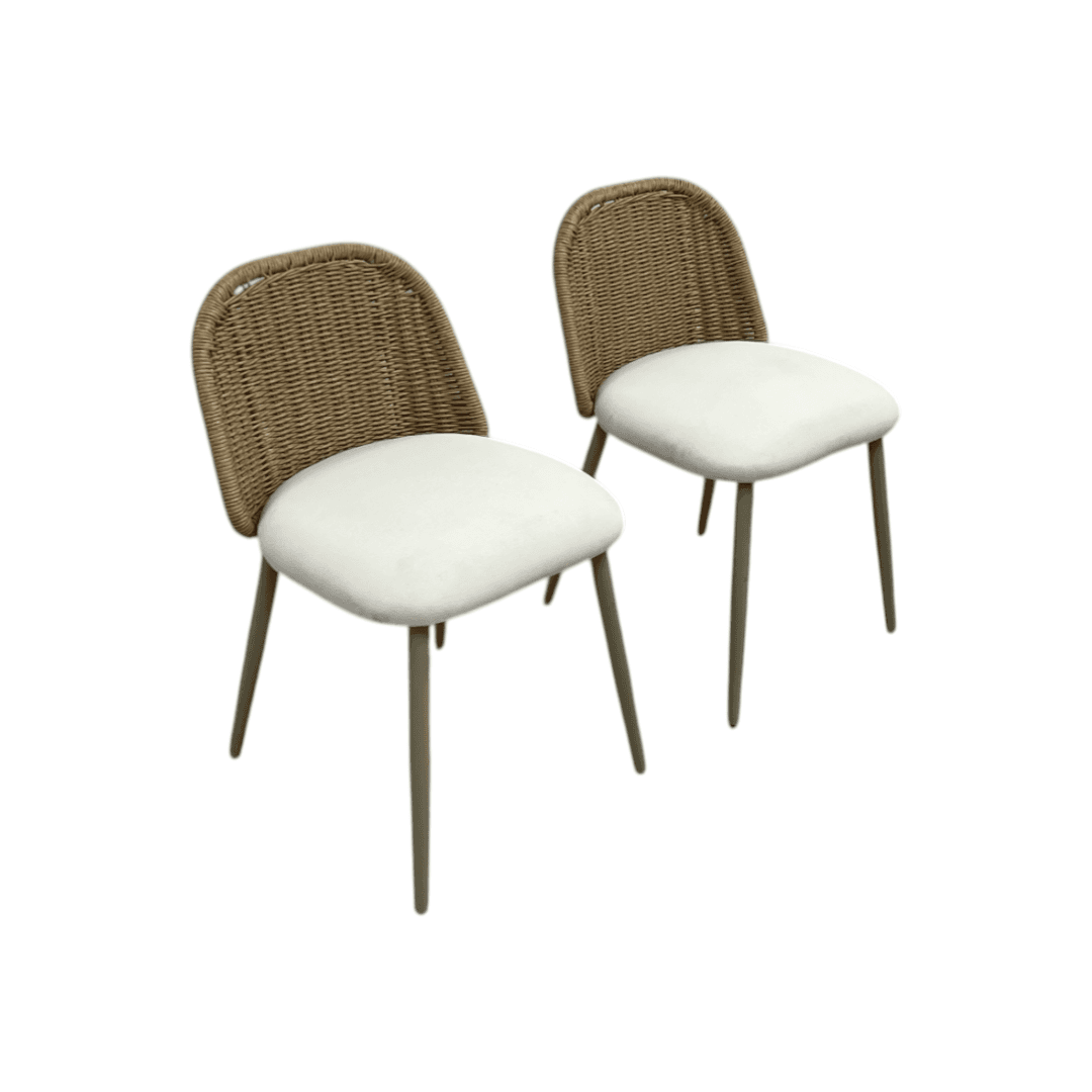 TOV Alexa Rattan Performance Fabric Dining Chair Set of 2 - Thumbnail 3