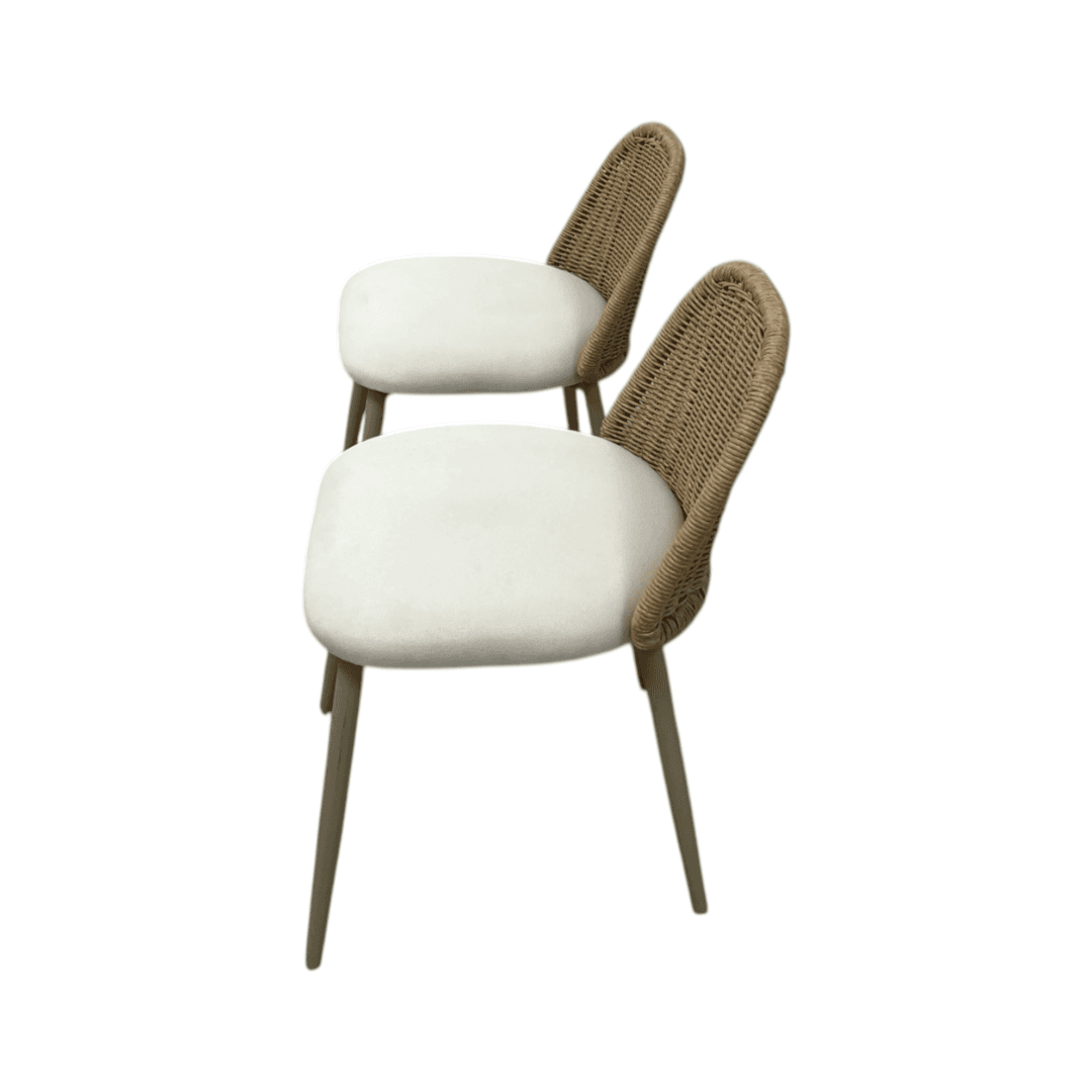 TOV Alexa Rattan Performance Fabric Dining Chair Set of 2 - Thumbnail 11