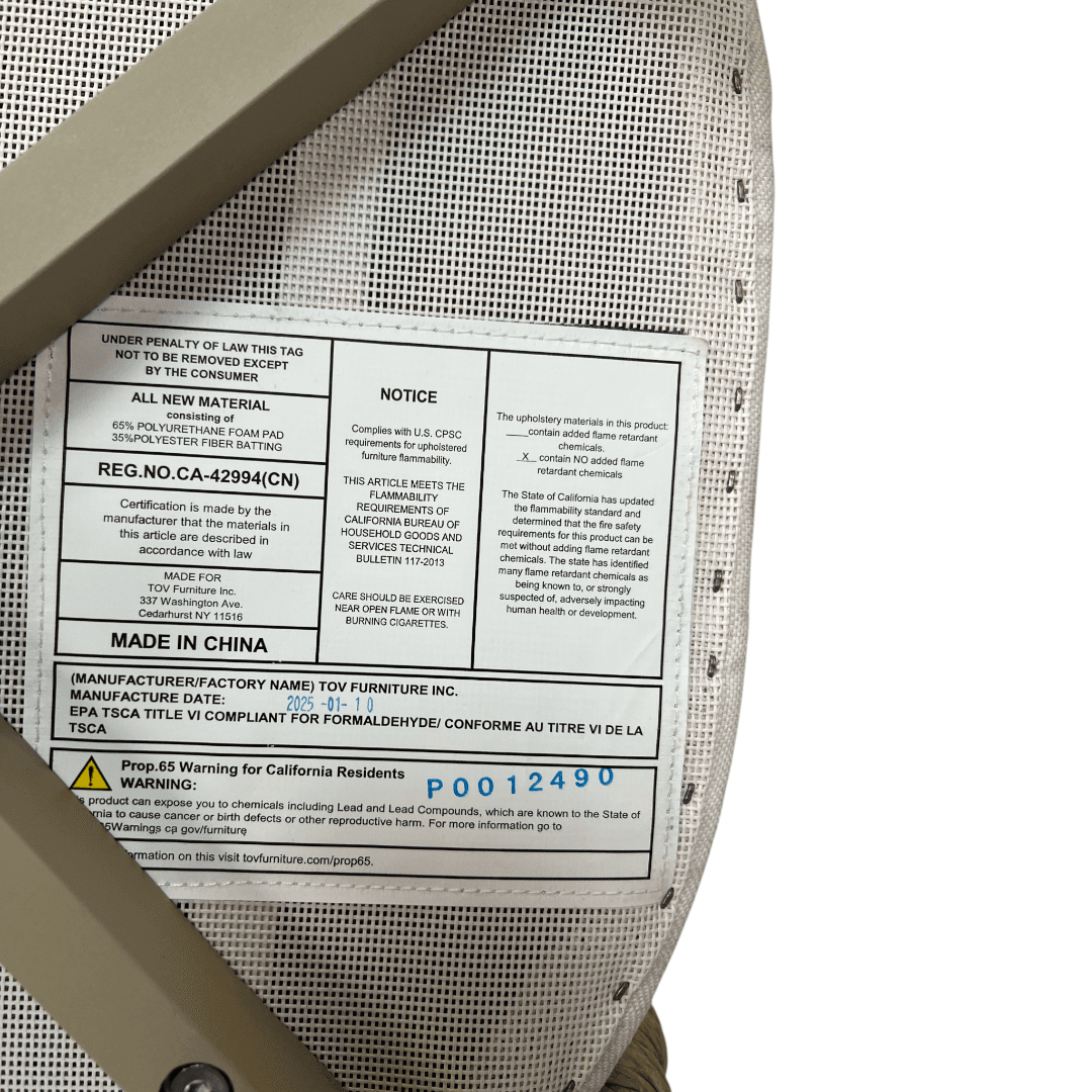 TOV Alexa Rattan Performance Fabric Dining Chair Set of 2 - Thumbnail 13