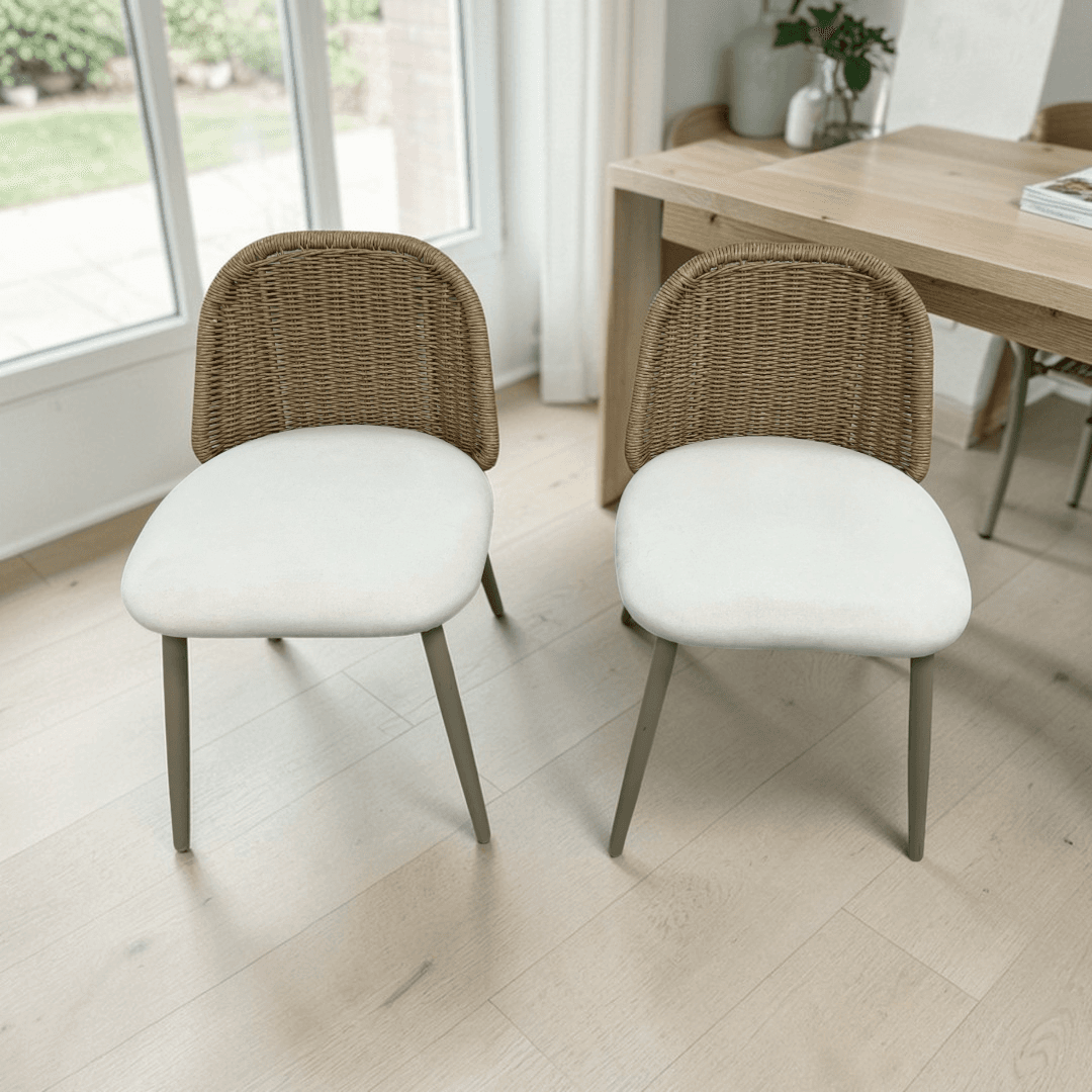 TOV Alexa Rattan Performance Fabric Dining Chair Set of 2 - Image 1