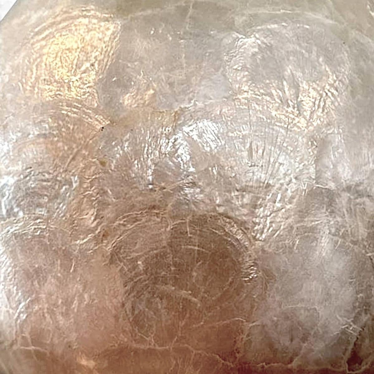 Mid-Century 70s Vintage Capiz Shell Table Lamp With Black Wood Puddle Base - Thumbnail 7