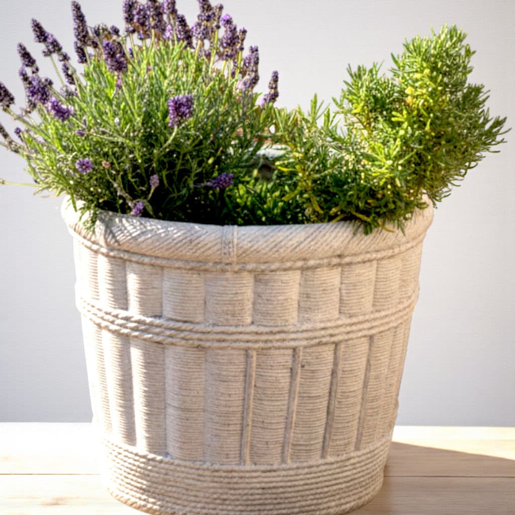 Large Pale Gray Cement Planter in the Shape of a Double Handled Wicker Gathering Basket - Thumbnail 10