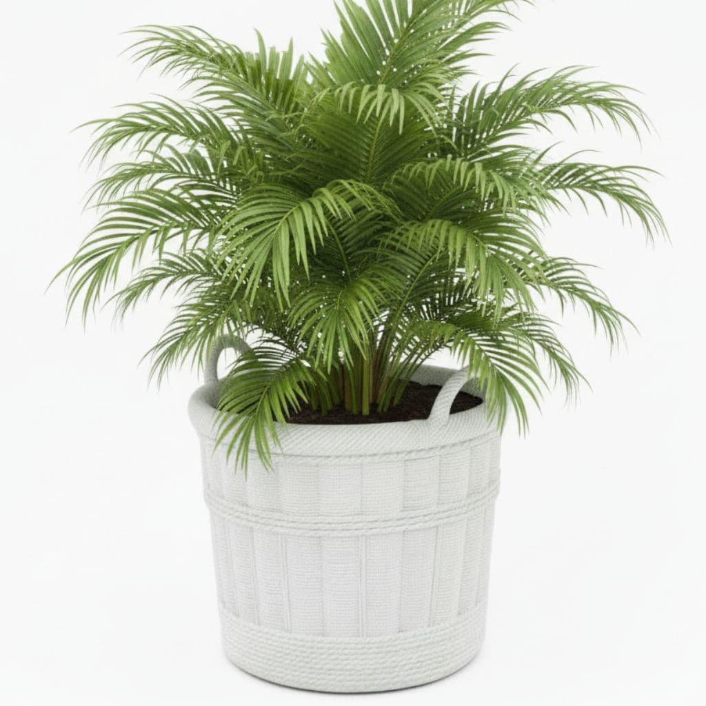 Large Pale Gray Cement Planter in the Shape of a Double Handled Wicker Gathering Basket - Thumbnail 7